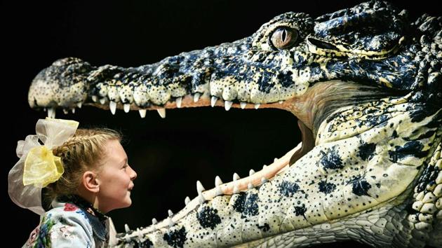 A young visitor looks at the photograph ‘Cuban Crocodile’ by Tim Flach, a British photographer who specialises in studio photography of animals, during his exhibition in Moscow, Russia. (Alexander Nemenov / AFP) A young visitor looks at the photograph ‘Cuban Crocodile’ by Tim Flach, a British photographer who specialises in studio photography of animals, during his exhibition in Moscow, Russia. (Alexander Nemenov / AFP)