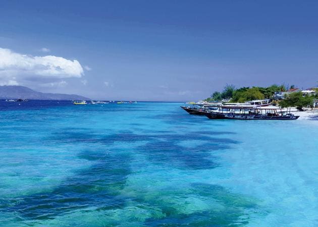 The clear blue waters are ideal for diving (Saachi Dhillon) The clear blue waters are ideal for diving (Saachi Dhillon)