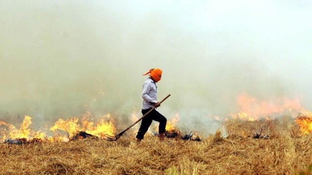 According to reports, farm mechanisation in the state has reached its ‘saturation point’ and therefore ‘no more viable, both economically and environmentally’.(Bharat Bhushan/ HT photo)