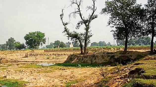 The soil is worth around ₹40 lakh as per a revenue official. (HT Photo) The soil is worth around ₹40 lakh as per a revenue official. (HT Photo)