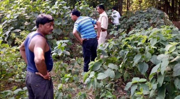 The body of a four-year-old tribal girl was found with her head tonsured, hands and one leg chopped in Jharkhand’s Khunti district on Sunday, triggering panic among villagers. (HT Photo) The body of a four-year-old tribal girl was found with her head tonsured, hands and one leg chopped in Jharkhand’s Khunti district on Sunday, triggering panic among villagers. (HT Photo)