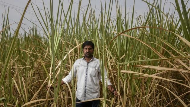 Sarpanch and farmer Amol Tipale in Hirapur village, Beed District. Chandrakant Suryavanshi, resident deputy collector of Beed says rainfall this year is 50% less than its annual average of 666.36mm, and the groundwater table in the district depleted by 2.21m compared to the five year average. While water usage has been planned till June next year, the scarcity is serious. (Kunal Patil / HT Photo) 