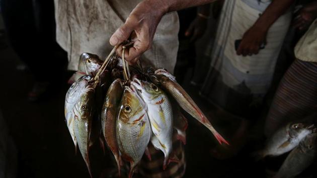 A fisherman holds his catch at the main fishing port in Hodeida. The three-and-a-half-year war in Yemen has caused the world’s worst humanitarian crisis, with two-thirds of the population — some 18 million people — relying on humanitarian aid. International aid agencies say 8 million Yemenis don’t know where their next meal is coming from. (Hani Mohammed / AP)