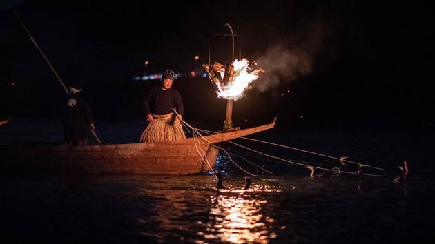 The fishermen wear traditional outfits: a blue shirt and matching bulbous hat said to protect against the ashes of the lamps, long straw skirts to keep out water and cold, and truncated sandals that leave the heels exposed to prevent slipping. The cormorants are tied together, a string around their throat to prevent from eating the catch, leaving enough space to eat smaller fish. (Martin Bureau / AFP) The fishermen wear traditional outfits: a blue shirt and matching bulbous hat said to protect against the ashes of the lamps, long straw skirts to keep out water and cold, and truncated sandals that leave the heels exposed to prevent slipping. The cormorants are tied together, a string around their throat to prevent from eating the catch, leaving enough space to eat smaller fish. (Martin Bureau / AFP)