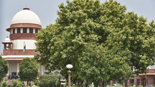 The Ficus Benjamina or the Weeping Fig is a handsome, evergreen tree with glossy leaves. Seen here inside the Supreme Court compound, its figs come without stalks and are bright red in colour. (Burhaan Kinu / HT Photo) The Ficus Benjamina or the Weeping Fig is a handsome, evergreen tree with glossy leaves. Seen here inside the Supreme Court compound, its figs come without stalks and are bright red in colour. (Burhaan Kinu / HT Photo)
