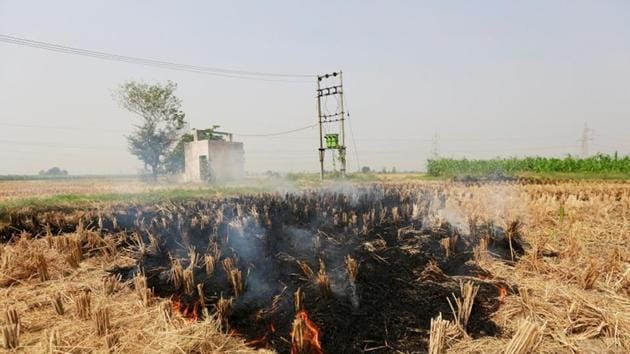 Stubble is seen burning at a rice field in Gharaunda in Haryana. (REUTERS) Stubble is seen burning at a rice field in Gharaunda in Haryana. (REUTERS)