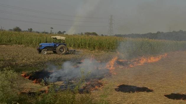 The contribution from crop fires is usually between 10% and 30%, depending on the number of fires in the northern states and the wind direction, the IMD scientist said.(HT File Photo)