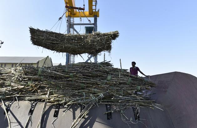 On the whole, Marathwada region — made up of eight districts including Beed — has 3.41 lakh hectares of sugarcane under cultivation this year. (Anshuman Poyrekar/HT PHOTO) On the whole, Marathwada region — made up of eight districts including Beed — has 3.41 lakh hectares of sugarcane under cultivation this year. (Anshuman Poyrekar/HT PHOTO)