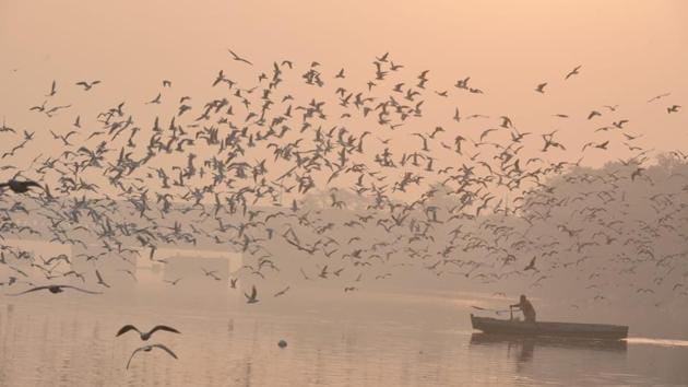 An early morning view off the Yamuna river on Tuesday, in New Delhi. The capital seemed choking on Monday as air quality deteriorated sharply compared to Sunday. A change in wind pattern had swept in smoke from farm fires in Punjab and Haryana, shrouding the national capital region (NCR) in a thick haze made of tiny particulate matter that can penetrate deep into the lungs and cause health problems. (Biplov Bhuyan / HT Photo) An early morning view off the Yamuna river on Tuesday, in New Delhi. The capital seemed choking on Monday as air quality deteriorated sharply compared to Sunday. A change in wind pattern had swept in smoke from farm fires in Punjab and Haryana, shrouding the national capital region (NCR) in a thick haze made of tiny particulate matter that can penetrate deep into the lungs and cause health problems. (Biplov Bhuyan / HT Photo)