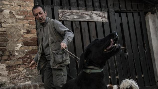“This is a basic course. To become a good truffle dog takes on average three years. What’s important is to keep training the dog, not necessarily every day but every other day,” Monchiero said. Rocky meanwhile has all the potential to become an excellent truffle dog. Except for his weakness for eating his finds. (Marco Bertorello / AFP) “This is a basic course. To become a good truffle dog takes on average three years. What’s important is to keep training the dog, not necessarily every day but every other day,” Monchiero said. Rocky meanwhile has all the potential to become an excellent truffle dog. Except for his weakness for eating his finds. (Marco Bertorello / AFP)