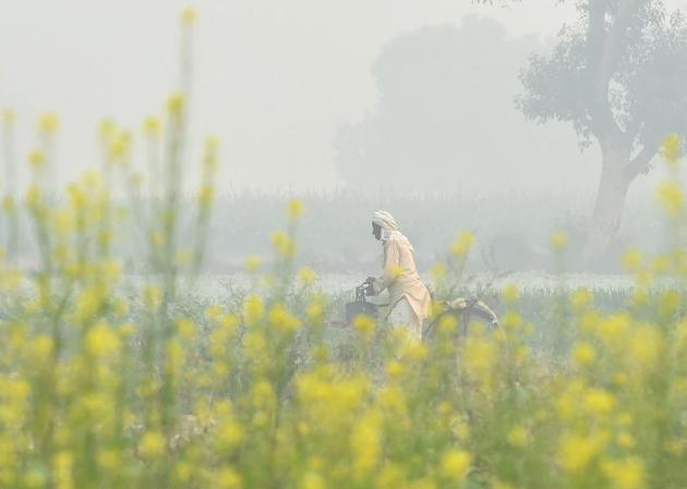 A man with his cycle walks through a field (PTI)