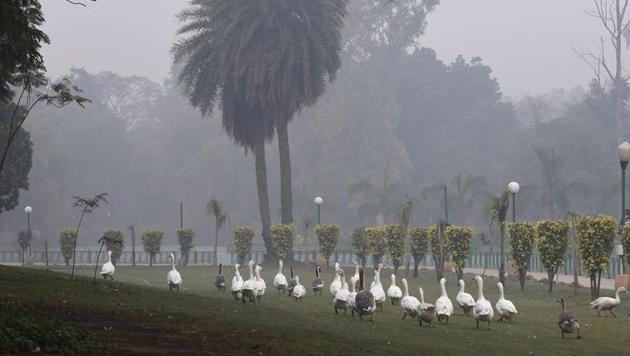 Smog in Delhi NCR worsened the day after Diwali celebration (PTI)