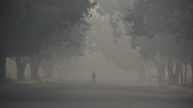 The court had asked the police to ensure that there was no sale of banned firecrackers –permitting only “green crackers” with low light, sound and smoke emission -- and in case of any violation, the station house officers of the police stations concerned would be held “personally liable”. This would amount to committing contempt of court, it had warned. (Biplov Bhuyan / HT Photo)