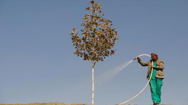 An Afghan municipality worker waters a tree in Kabul, Afghanistan. (Mohammad Ismail / REUTERS) An Afghan municipality worker waters a tree in Kabul, Afghanistan. (Mohammad Ismail / REUTERS)