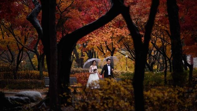 A couple poses for wedding photos in a park in Seoul, South Korea. (Ed Jones / AFP) A couple poses for wedding photos in a park in Seoul, South Korea. (Ed Jones / AFP)