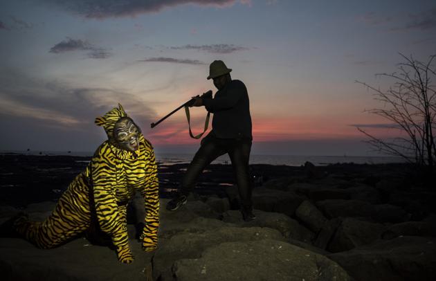 Asghar Ali Khan, who shot tigress Avni dead, says she had to depend on humans for prey, but outraged activists insist that the human-tiger conflict is not something the authorities should delegate to a ‘shikaari’.(HT Photo/ Representative Image)