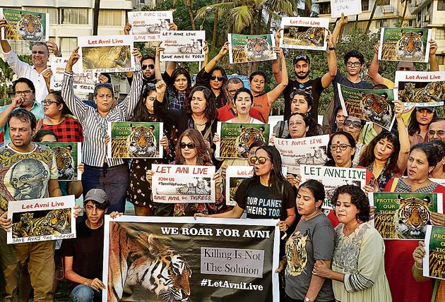 Killing of tigress Avni does not set a good precedence. It is high time humans learnto co-exist with wildlife and we need to come up with long-term plans to address the man- animal conflict. (HT PHOTO) Killing of tigress Avni does not set a good precedence. It is high time humans learnto co-exist with wildlife and we need to come up with long-term plans to address the man- animal conflict. (HT PHOTO)
