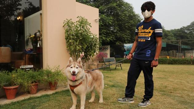 The owner of a Siberian Husky named Juno waits to collect it from the resort. The pollution level in the capital rose to “severe” after revelers let off fireworks to mark the festival of Diwali, adding to the heavy smog caused by crop burning, vehicle fumes and industrial emissions. (Anushree Fadnavis / REUTERS) The owner of a Siberian Husky named Juno waits to collect it from the resort. The pollution level in the capital rose to “severe” after revelers let off fireworks to mark the festival of Diwali, adding to the heavy smog caused by crop burning, vehicle fumes and industrial emissions. (Anushree Fadnavis / REUTERS)
