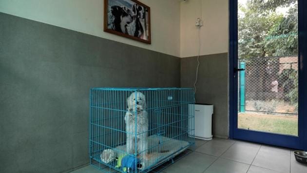 Moti, a Toy Poodle breed, is seen in one of the rooms at the resort. These rooms at the site, next to an organic vegetable farm in Gurugram, one of Delhi’s satellite cities and an IT hub, start at 2,000 rupees a night --more than five times the average daily wage. The air in their rooms is cleaned by purifying machines made by American manufacturer Honeywell. (Anushree Fadnavis / REUTERS) Moti, a Toy Poodle breed, is seen in one of the rooms at the resort. These rooms at the site, next to an organic vegetable farm in Gurugram, one of Delhi’s satellite cities and an IT hub, start at 2,000 rupees a night --more than five times the average daily wage. The air in their rooms is cleaned by purifying machines made by American manufacturer Honeywell. (Anushree Fadnavis / REUTERS)