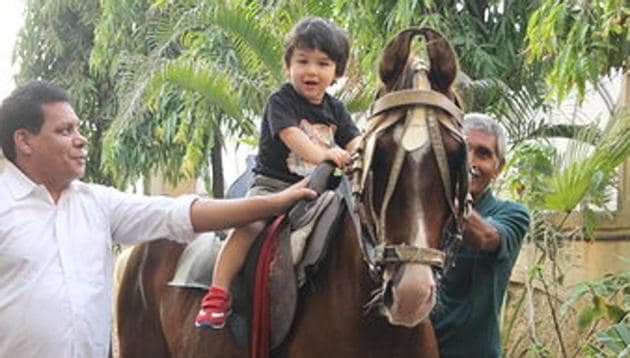 Taimur Ali Khan tries his hand at horse riding. (Viral Bhayani) Taimur Ali Khan tries his hand at horse riding. (Viral Bhayani)