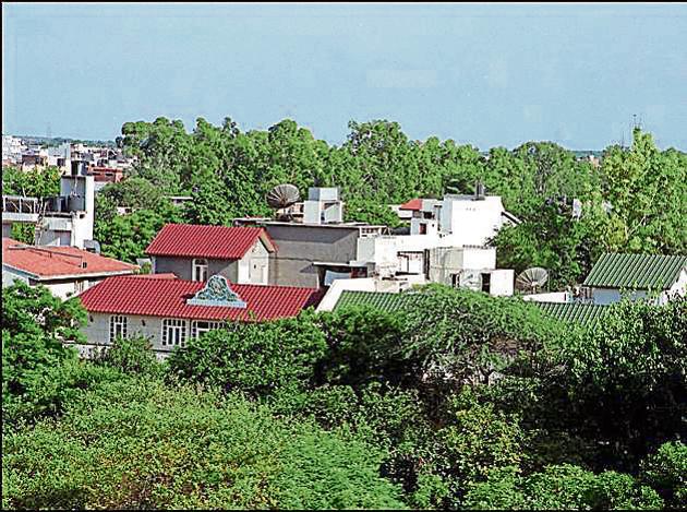 ILLEGAL OCCUPANTS : A view of plush bungalows in the Sainik Farms area in the capital (S. BURMAULA) ILLEGAL OCCUPANTS : A view of plush bungalows in the Sainik Farms area in the capital (S. BURMAULA)