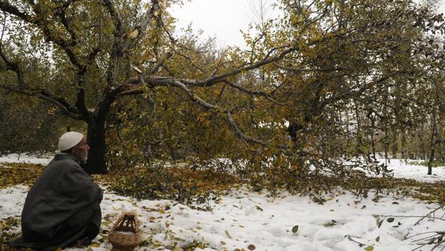 Kashmir received early snow in first week of November. It was after nine years that summer capital Srinagar was draped in white on November 3. (Waseem Andrabi/ HT Photo) Kashmir received early snow in first week of November. It was after nine years that summer capital Srinagar was draped in white on November 3. (Waseem Andrabi/ HT Photo)