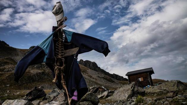 A sculpture made with sheep bones and old clothes by Meme, is pictured near his altitude hut. To beat the wolves, you have to throw them off the track, he says. Move the penned area, make plenty of noise, light a fire, and make scarecrows-- all can help. He put some fur from the female dog on the nearby scarecrow, to give it a smell. (Jeff Pachoud / AFP)