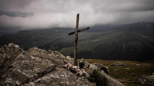 A cross and skulls of dead sheep are pictured, in Alpine pastures. And as in a cruel fairy tale ending, the big bad wolf passes by several days later and gobbles up the stricken sheep. (Jeff Pachoud / AFP)