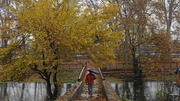 A man walks under an umbrella during rains in Srinagar, Jammu and Kashmir. (Waseem Andrabi / HT Photo) A man walks under an umbrella during rains in Srinagar, Jammu and Kashmir. (Waseem Andrabi / HT Photo)