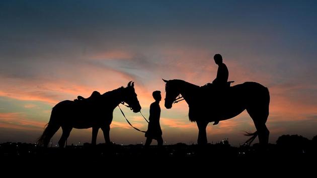 A horseman, who makes a living from giving beachgoers horse rides, waits for customers at Marina beach in Chennai, Tamil Nadu. (Arun Sankar / AFP) A horseman, who makes a living from giving beachgoers horse rides, waits for customers at Marina beach in Chennai, Tamil Nadu. (Arun Sankar / AFP)