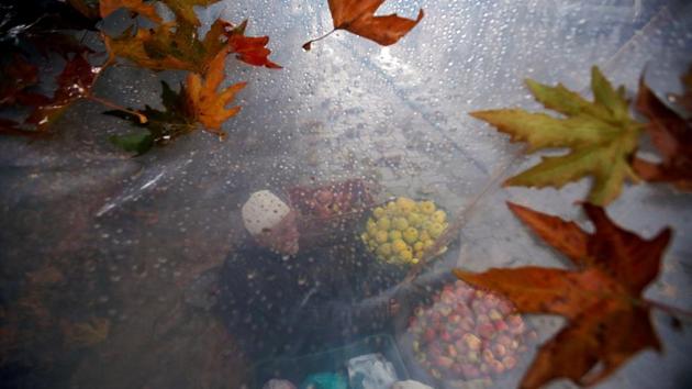 A roadside vendor selling apples is seen through a plastic sheet that he uses to cover himself from rain, in Srinagar, Jammu and Kashmir. (Danish Ismail / REUTERS) A roadside vendor selling apples is seen through a plastic sheet that he uses to cover himself from rain, in Srinagar, Jammu and Kashmir. (Danish Ismail / REUTERS)