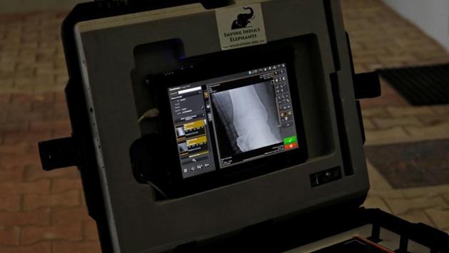 An X-ray image seen on a monitor. While elephants are revered as a cultural and religious symbol in India, they are also ill-treated by unschooled mahouts and often fall victim to electrocution, poaching, train accidents and poisoning, animal rights activists say. (Anushree Fadnavis / REUTERS) An X-ray image seen on a monitor. While elephants are revered as a cultural and religious symbol in India, they are also ill-treated by unschooled mahouts and often fall victim to electrocution, poaching, train accidents and poisoning, animal rights activists say. (Anushree Fadnavis / REUTERS)