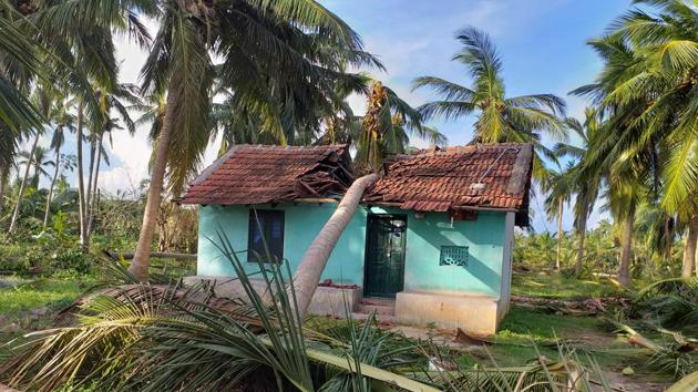 A fallen coconut tree due to the cyclone Gaja damages a house in Anaikkadu of Thanjavur district, Tamil Nadu (File Photo)(HT)