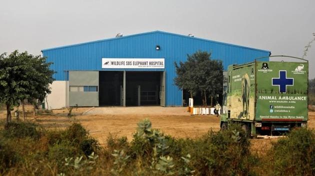 A general view of the hospital. Inaugurated on Friday in the Hindu holy town of Mathura in Uttar Pradesh, the facility is spread over 12,000 square feet and is designed to treat injured, sick or geriatric elephants. (Anushree Fadnavis / REUTERS) A general view of the hospital. Inaugurated on Friday in the Hindu holy town of Mathura in Uttar Pradesh, the facility is spread over 12,000 square feet and is designed to treat injured, sick or geriatric elephants. (Anushree Fadnavis / REUTERS)