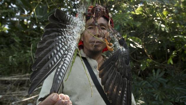 Renkey Humtsoi, 48, another hunter turned conservationist, lives in a hut near the reservoir. As he showed a carcass of a falcon that died of natural causes, Humtsoi said, “I am a much happier man protecting the birds rather than killing them.” (Anupam Nath / AP) Renkey Humtsoi, 48, another hunter turned conservationist, lives in a hut near the reservoir. As he showed a carcass of a falcon that died of natural causes, Humtsoi said, “I am a much happier man protecting the birds rather than killing them.” (Anupam Nath / AP)