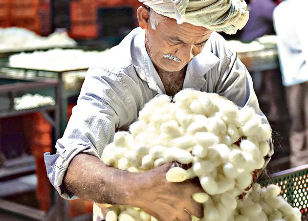A farmer moves his silk cocoons during bidding at the government cocoon market in Ramnagara near Bengaluru.(Arijit Sen/HT Photo)
