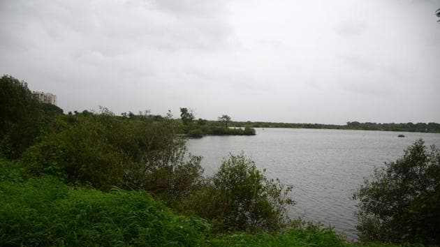 Wetlands in Nerul are under threat from urbanisation(HT Photo)