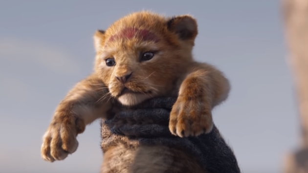 The Lion King’s baby Simba has captured the internet’s imagination.