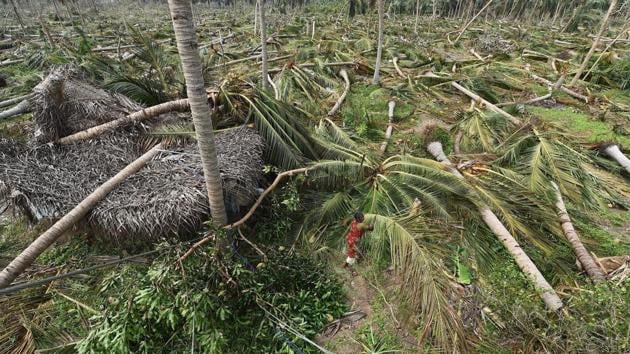 A 58-year-old farmer committed suicide after Cyclone Gaja uprooted hundreds of coconut trees in his farm in Tamil Nadu’s Thanjavur district, police have said, as farm leaders blamed the state government for offering a paltry compensation of Rs 1,700 against the loss. Police said Sundar Raj from the district’s Sozhagankudikadu village allegedly consumed pesticide. (PTI File) A 58-year-old farmer committed suicide after Cyclone Gaja uprooted hundreds of coconut trees in his farm in Tamil Nadu’s Thanjavur district, police have said, as farm leaders blamed the state government for offering a paltry compensation of Rs 1,700 against the loss. Police said Sundar Raj from the district’s Sozhagankudikadu village allegedly consumed pesticide. (PTI File)
