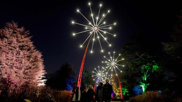 Light displays are pictured during a photocall at Kew Gardens in south west London, during an event to promote the launch of the “Christmas at Kew Gardens” event in England. (Tolga Akmen / AFP) Light displays are pictured during a photocall at Kew Gardens in south west London, during an event to promote the launch of the “Christmas at Kew Gardens” event in England. (Tolga Akmen / AFP)