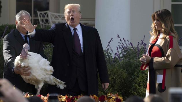 US President Donald Trump pardons the turkey “Peas” during the annual ceremony at the White House in Washington, DC, as US First Lady Melania Trump looks on. (Jim Watson / AFP) US President Donald Trump pardons the turkey “Peas” during the annual ceremony at the White House in Washington, DC, as US First Lady Melania Trump looks on. (Jim Watson / AFP)