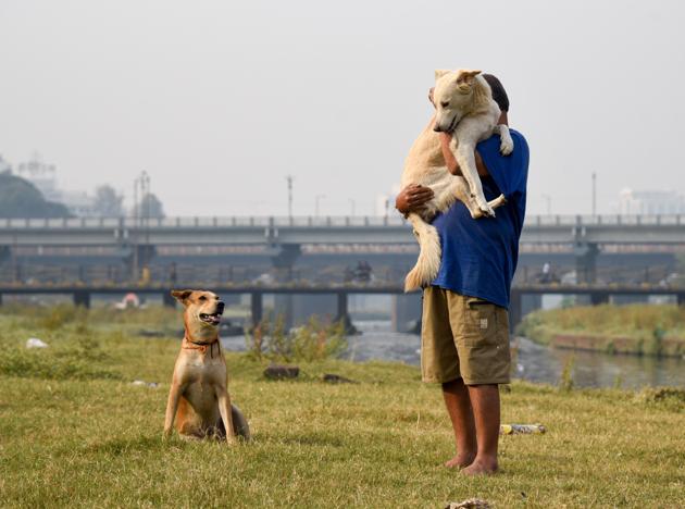 A man plays with his pet dog in Riverbed area, near Bhide bridge in Pune on November 25. (Sanket Wankhade/HT PHOTO)