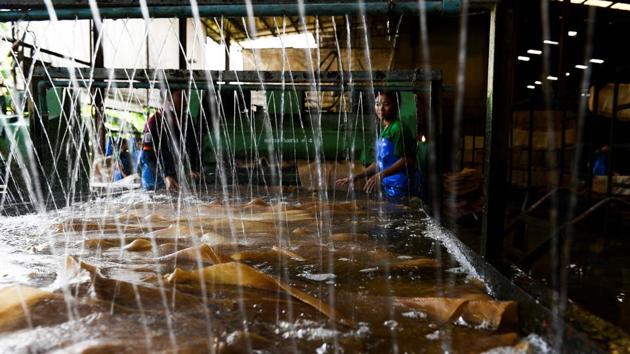 Workers clean raw rubber sheets at a factory. While the plight of US soybean farmers hit by the tariffs grabbed headlines -- they face a 25% levy to access China, the biggest soybean market -- other troubles are quietly brewing across the world. The bottom has fallen out of the once-booming industry as Thai rubber prices plummet to about $1.21 a kilogram -- they were five times that in 2011. (Jonathan Klein / AFP) 