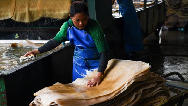 A woman cleans raw rubber sheets at a factory. Around a third of all the rubber in the world comes from Thailand’s forests. The country currently produces about 4.6 million tonnes of rubber a year and the sudden drop in Chinese demand has compounded a longer term global oversupply crisis to push prices off a cliff. (Jonathan Klein / AFP) 