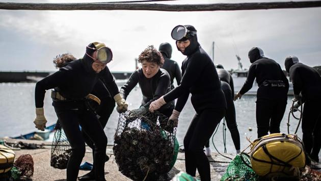 As they compare the hauls of shellfish they have gathered, the women -- who range from 60 to 80 years old -- could be mistaken for teenagers underneath the water, gliding gracefully in the dark depths of the Pacific. (Martin Bureau / AFP)