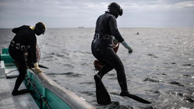 “In the old days, young women would become ama when they left middle school,” like a rite of passage, explained Sakichi Okuda, director of the local fishing cooperative. Like Koguchi and her older sister, who dive together, they usually learned the basics from a relative at a young age. (Martin Bureau / AFP)
