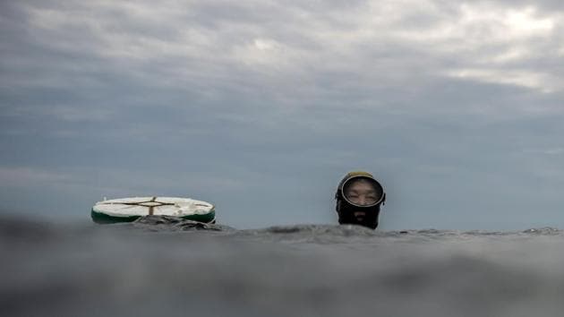 Each ama or “woman of the sea”, has only rudimentary equipment: a buoyant ring to signal her presence at the surface while she dives, and a net for her haul. The women set up their rings and then dip beneath the surface, sometimes holding their breath for more than a minute. They tirelessly resurface and dive dozens of times a session. (Martin Bureau / AFP)