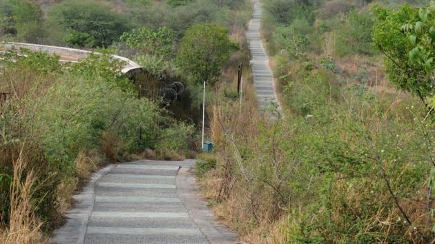 Gurugram’s shining glory, the Aravalli Biodiversity Park (in photo), which hosts many native species of trees, grass, birds, butterflies and wild life, needs to be protected and preserved as an urban forest for all times to come.(Parveen Kumar / HT File)
