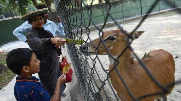 Feeding animals inside the Kolkata zoo is rampant despite restrictions imposed by the authorities.(Arijit Sen)