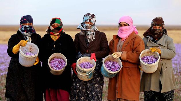 India is a distant second, followed by Greece, Morocco, Azerbaijan, Afghanistan and Spain, according to a FranceAgriMer report in 2013. The star producer in Iran is the small town of Torbat-e Heydariyeh, about 700 kilometres east of Teheran -- which accounts for a third of global production. (Atta Kenare / AFP) India is a distant second, followed by Greece, Morocco, Azerbaijan, Afghanistan and Spain, according to a FranceAgriMer report in 2013. The star producer in Iran is the small town of Torbat-e Heydariyeh, about 700 kilometres east of Teheran -- which accounts for a third of global production. (Atta Kenare / AFP)